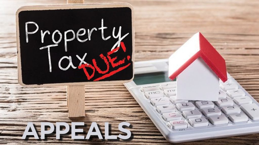 Expert Tips for Reducing Property Taxes in Texas
